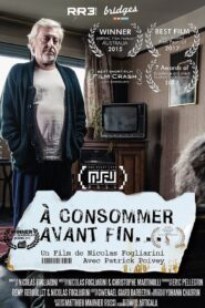 A consommer avant fin 2013 one on netflix