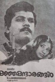 Manja Mantharangal 1987 one on netflix