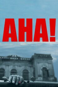 Aha! 2007 one on netflix
