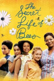 The Secret Life of Bees 2008 one on netflix