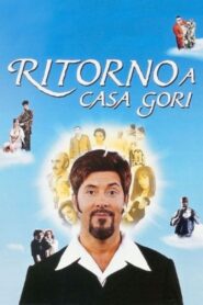 Ritorno a casa Gori 1996 one on netflix