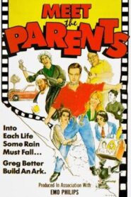 Meet the Parents 1991 one on netflix