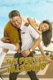 The Perfect Husband 2018 one on netflix