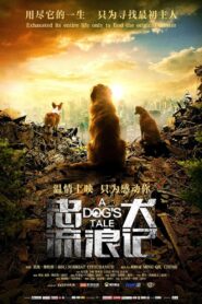 A Dog’s Tale 2021 one on netflix