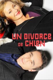 Un divorce de chien 2010 one on netflix