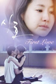 First Love 2020 one on netflix