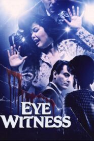 Eyewitness 1990 one on netflix