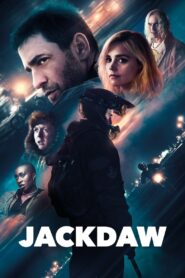 Jackdaw 2024 one on netflix
