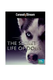 The Secret Life of Dogs 2013 one on netflix