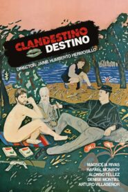 Clandestine Destiny 1987 one on netflix