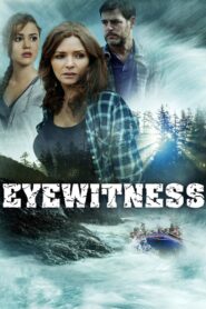 Eyewitness 2015 one on netflix
