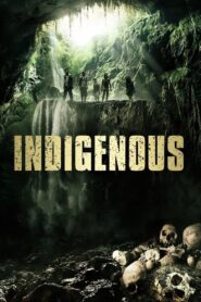 Indigenous 2014 one on netflix