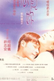 You Light Up My Life 1998 one on netflix