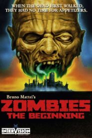 Zombies: The Beginning 2007 one on netflix