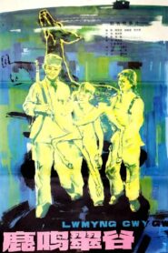Lu ming cui gu 1981 one on netflix