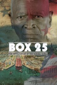 Box 25 2015 one on netflix