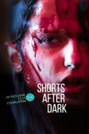 Shorts After Dark 2019 one on netflix