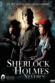 In the Name of Sherlock Holmes 2011 one on netflix