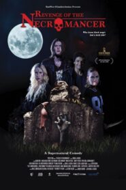 Revenge of the Necromancer 2018 one on netflix