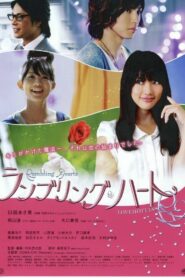 Rambling Hearts 2010 one on netflix