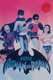 Alias Batman and Robin 1991 one on netflix