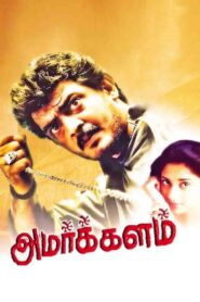 Amarkalam 1999 one on netflix