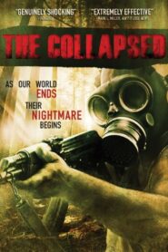 The Collapsed 2011 one on netflix