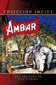 Amber 1994 one on netflix