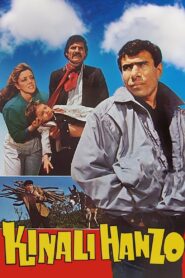 Kınalı Hanzo 1989 one on netflix