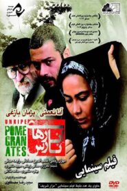 Unripe Pomegranates 2014 one on netflix