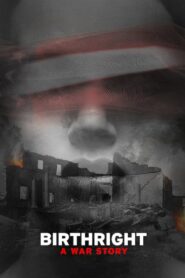 Birthright: A War Story 2017 one on netflix