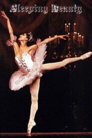 Sleeping Beauty 1991 one on netflix