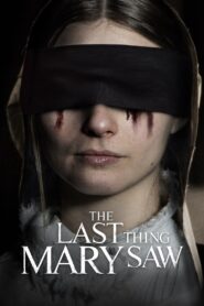 The Last Thing Mary Saw 2021 one on netflix
