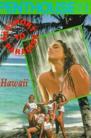 Passport to Paradise: Hawaii 1991 one on netflix