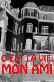 C’est la vie, mon ami 2001 one on netflix