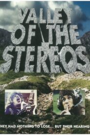 Valley of the Stereos 1992 one on netflix