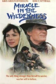 Miracle in the Wilderness 1991 one on netflix