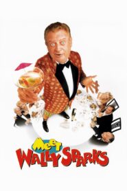 Meet Wally Sparks 1997 one on netflix