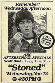 Stoned 1980 one on netflix