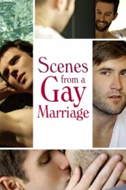 Scenes from a Gay Marriage 2012 one on netflix