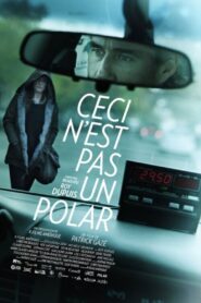 Stranger in a Cab 2014 one on netflix