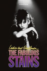 Ladies and Gentlemen, the Fabulous Stains 1982 one on netflix