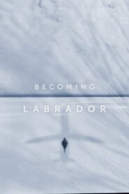 Becoming Labrador 2019 one on netflix