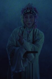 The Peony Pavilion 1988 one on netflix