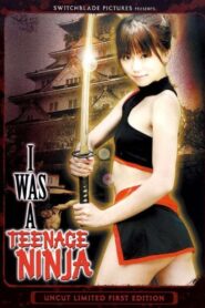 I Was A Teenage Ninja 2007 one on netflix