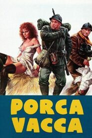 Holy Cow 1982 one on netflix