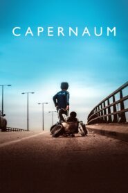 Capernaum 2018 one on netflix