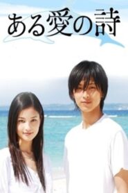 Song of Love 2006 one on netflix