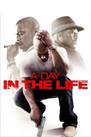 A Day in the Life 2009 one on netflix