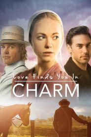 Love Finds You in Charm 2015 one on netflix